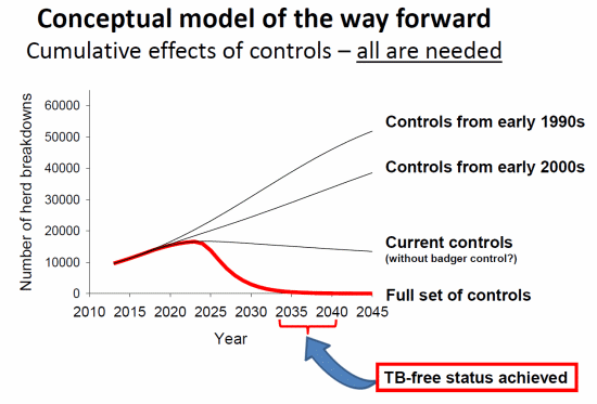 Conceptual model of the way forward