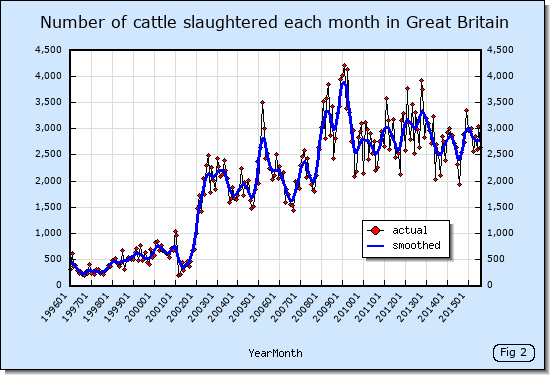 Number of cattle slaughtered each month in Great Britain for TB