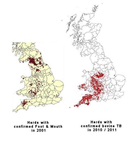Location and distribution of confirmed cases of Foot and Mouth and bovine TB in Great Britain