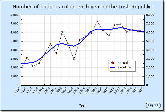 Number of badgers culled each year in the Irish Republic