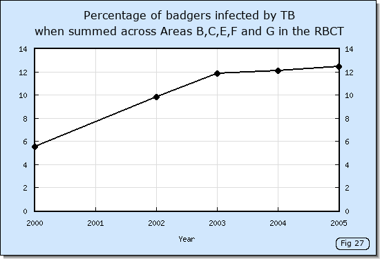 Increase in badger infection levels during the RBCT